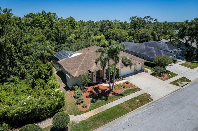 22754 MAGNOLIA TRACE BOULEVARD, Lutz, FL 33549