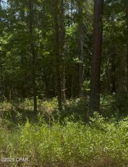 XXX Ben Road 32428, Chipley, FL 32428