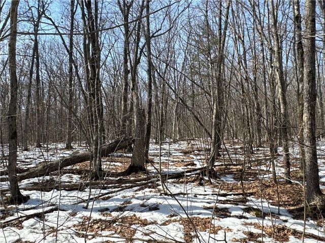 27XX 11th Avenue, Chetek, WI 54728