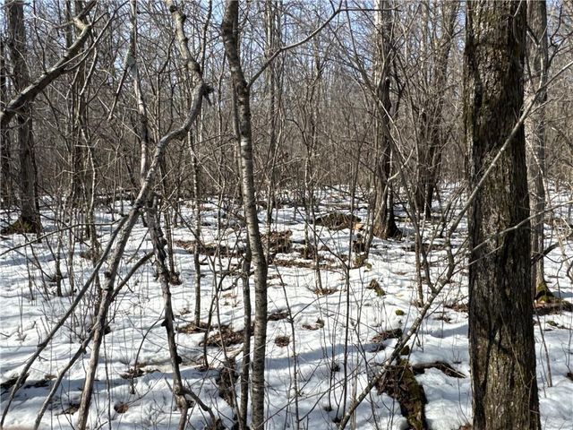 27XX 11th Avenue, Chetek, WI 54728