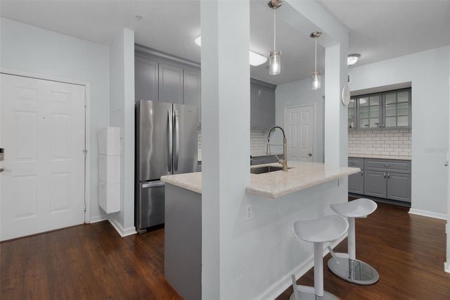 233 GOLDENRAIN DRIVE 202, Celebration, FL 34747