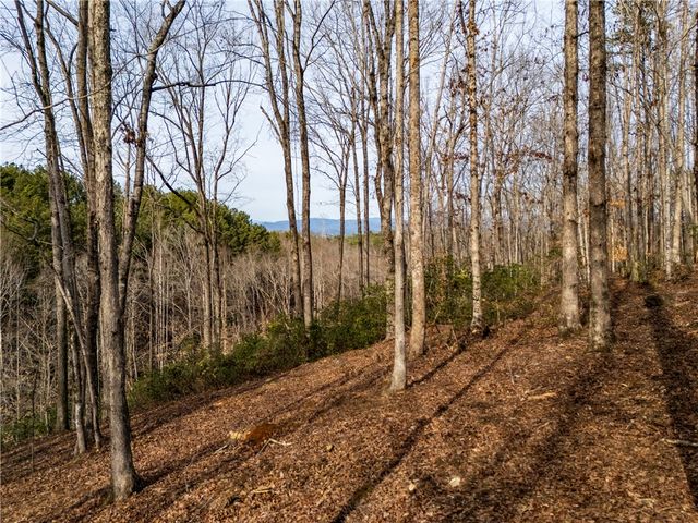 Lot 116 Pine Harbor Way, Salem, SC 29676