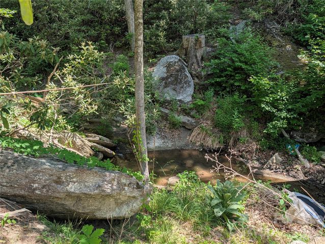 1034 Kyles Creek Road, Hendersonville, NC 28792