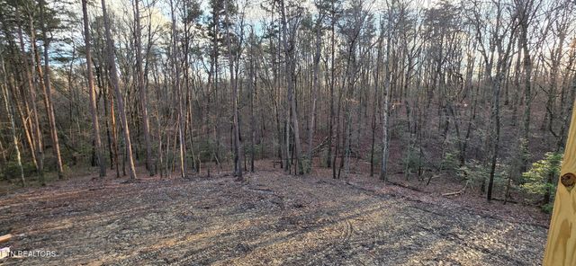 323 Cumberland Cove Rd, Monterey, TN 38574