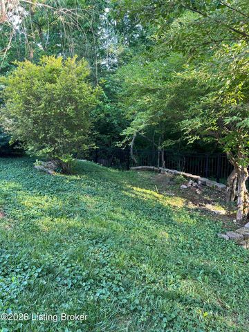 6006 Ledgerock Cove Pl, Louisville, KY 40219