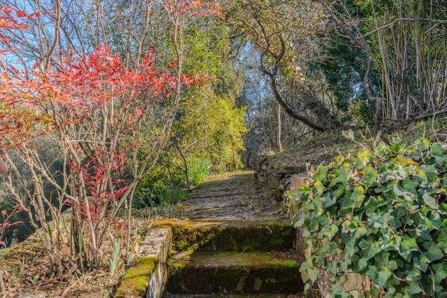 10640 Fleehart, Amador City, CA 95601