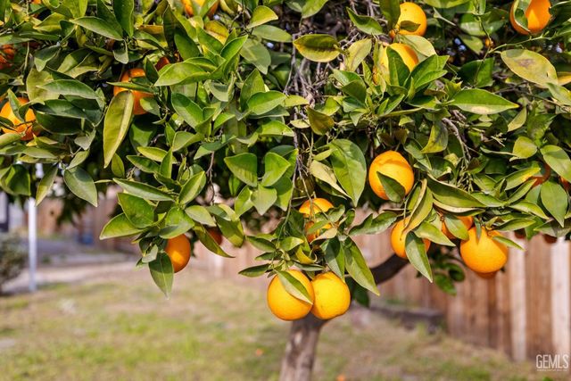 215 8th Street, Bakersfield, CA 93304