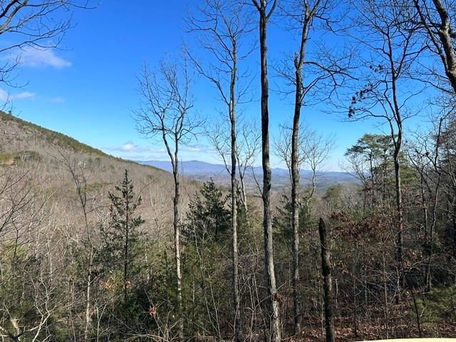 0 Ridgeside Court, Jasper, GA 30143