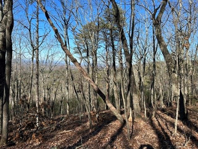 0 Ridgeside Court, Jasper, GA 30143