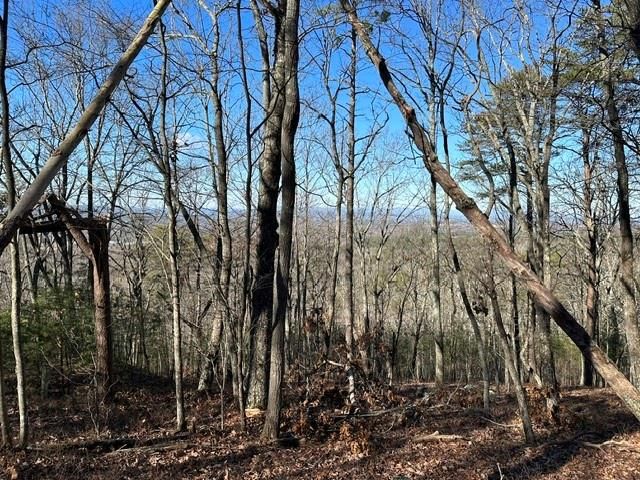 0 Ridgeside Court, Jasper, GA 30143