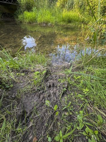 1609 S Sage Lake Road, Hale, MI 48739