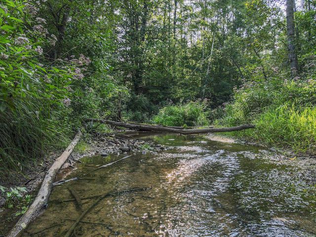 1609 S Sage Lake Road, Hale, MI 48739