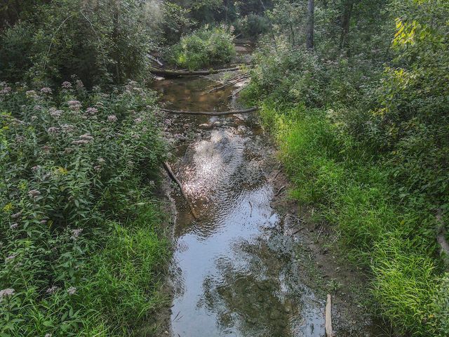 1609 S Sage Lake Road, Hale, MI 48739