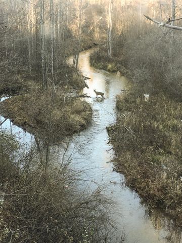 1609 S Sage Lake Road, Hale, MI 48739