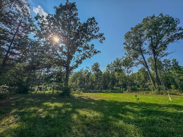 1609 S Sage Lake Road, Hale, MI 48739