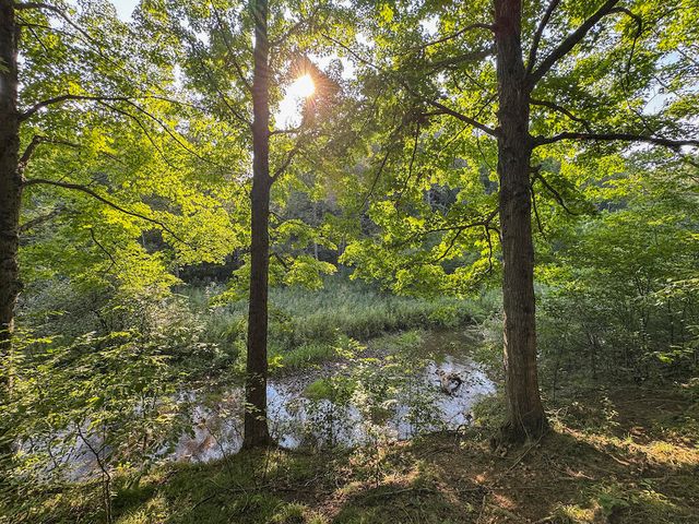 1609 S Sage Lake Road, Hale, MI 48739