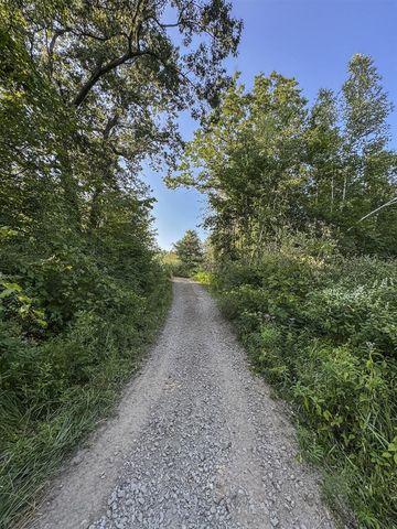 1609 S Sage Lake Road, Hale, MI 48739