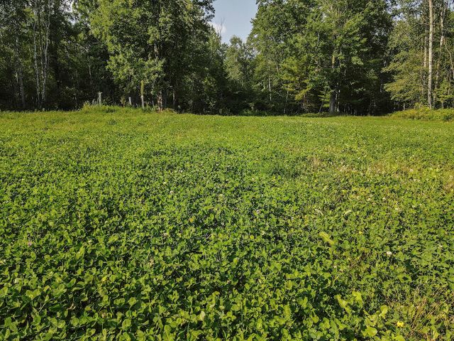 1609 S Sage Lake Road, Hale, MI 48739