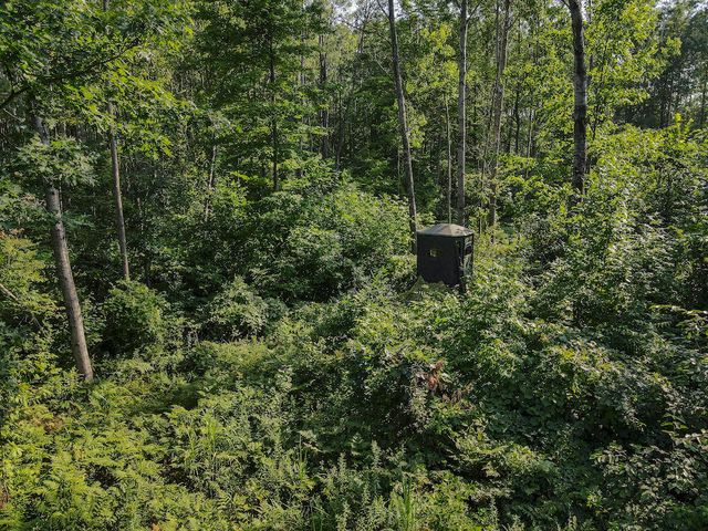 1609 S Sage Lake Road, Hale, MI 48739