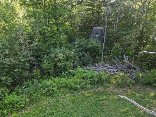 1609 S Sage Lake Road, Hale, MI 48739