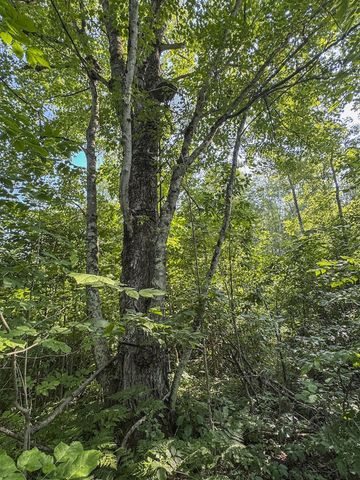 1609 S Sage Lake Road, Hale, MI 48739