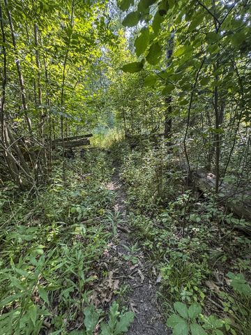 1609 S Sage Lake Road, Hale, MI 48739