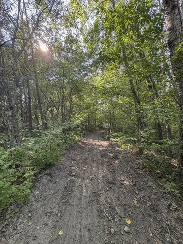 1609 S Sage Lake Road, Hale, MI 48739