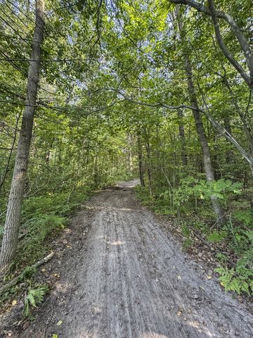 1609 S Sage Lake Road, Hale, MI 48739