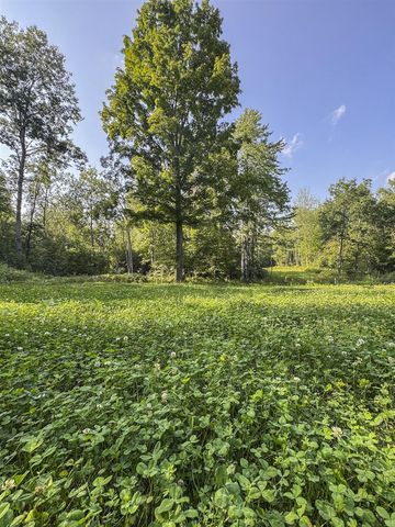 1609 S Sage Lake Road, Hale, MI 48739