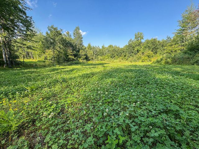 1609 S Sage Lake Road, Hale, MI 48739