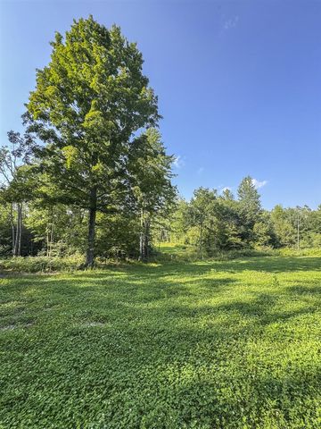 1609 S Sage Lake Road, Hale, MI 48739