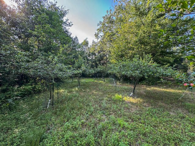 1609 S Sage Lake Road, Hale, MI 48739