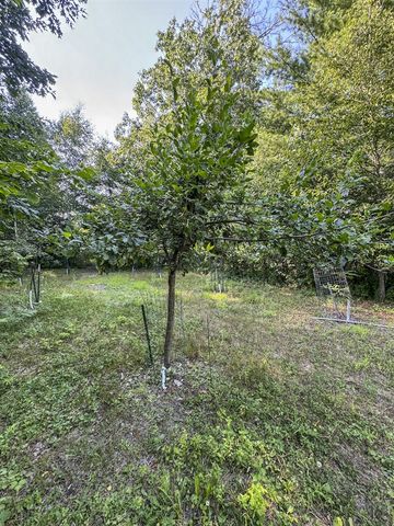 1609 S Sage Lake Road, Hale, MI 48739