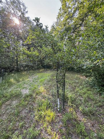 1609 S Sage Lake Road, Hale, MI 48739