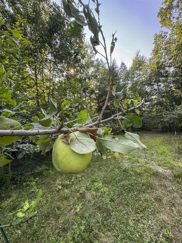 1609 S Sage Lake Road, Hale, MI 48739