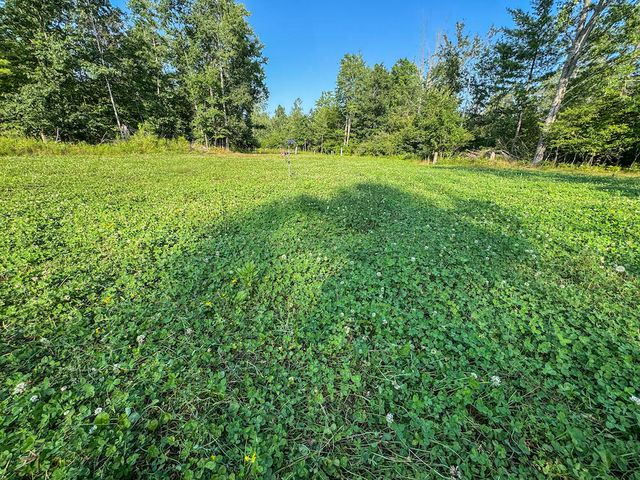 1609 S Sage Lake Road, Hale, MI 48739