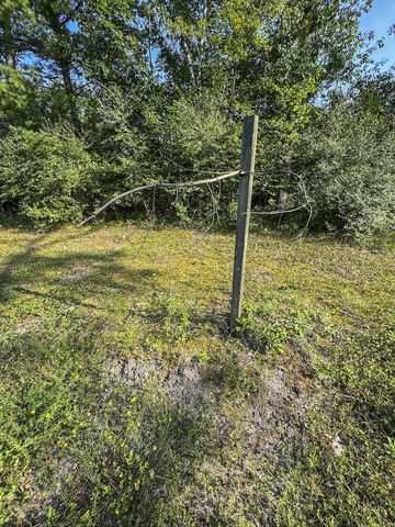 1609 S Sage Lake Road, Hale, MI 48739