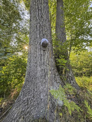 1609 S Sage Lake Road, Hale, MI 48739