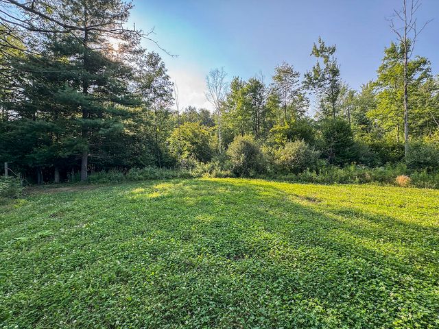 1609 S Sage Lake Road, Hale, MI 48739