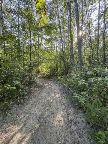 1609 S Sage Lake Road, Hale, MI 48739