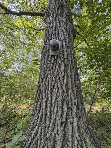 1609 S Sage Lake Road, Hale, MI 48739