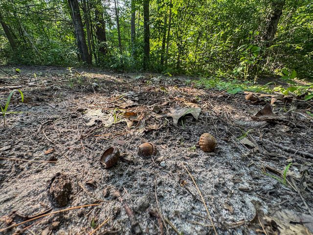 1609 S Sage Lake Road, Hale, MI 48739