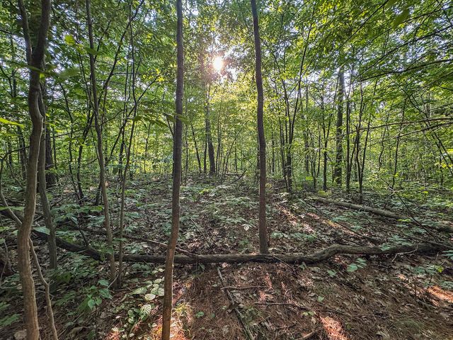 1609 S Sage Lake Road, Hale, MI 48739