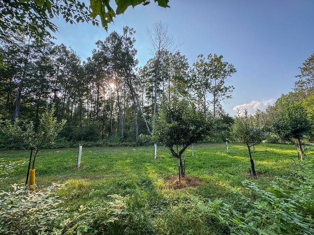 1609 S Sage Lake Road, Hale, MI 48739