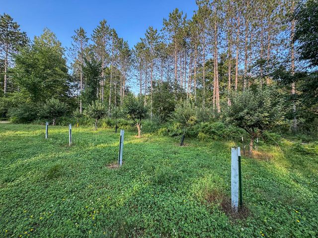 1609 S Sage Lake Road, Hale, MI 48739