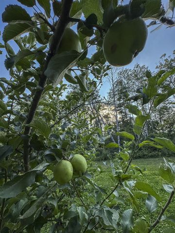 1609 S Sage Lake Road, Hale, MI 48739