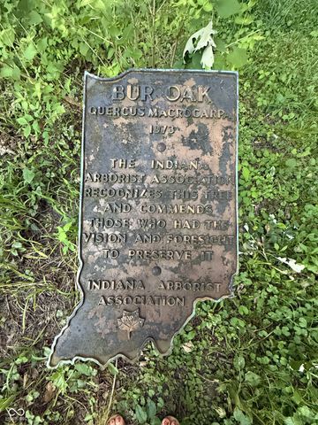 524 S Arlington Avenue S, Indianapolis, IN 46219