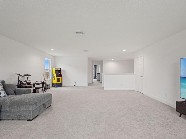 480 SWITCHGRASS LOOP, Minneola, FL 34715