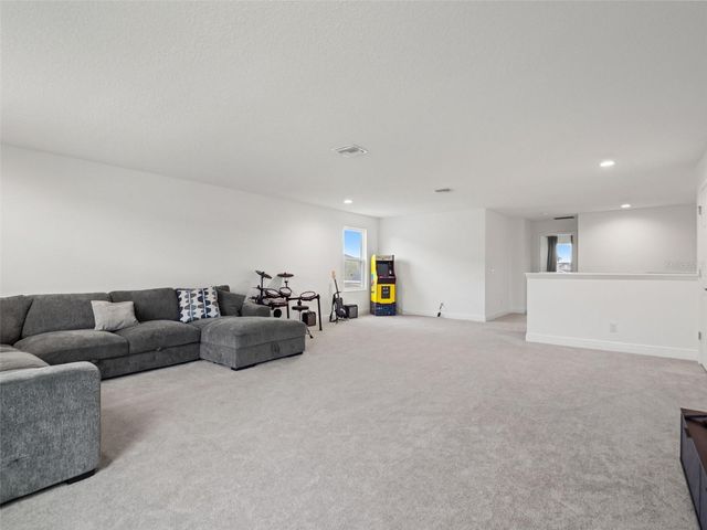 480 SWITCHGRASS LOOP, Minneola, FL 34715
