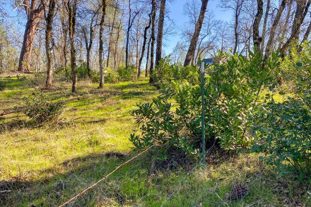 Lot 1 Silver King Road, Redding, CA 96001